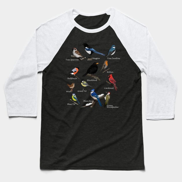 Backyard Birds Sparrow Cardinal Jay Wren Illustration Baseball T-Shirt by jzbirds